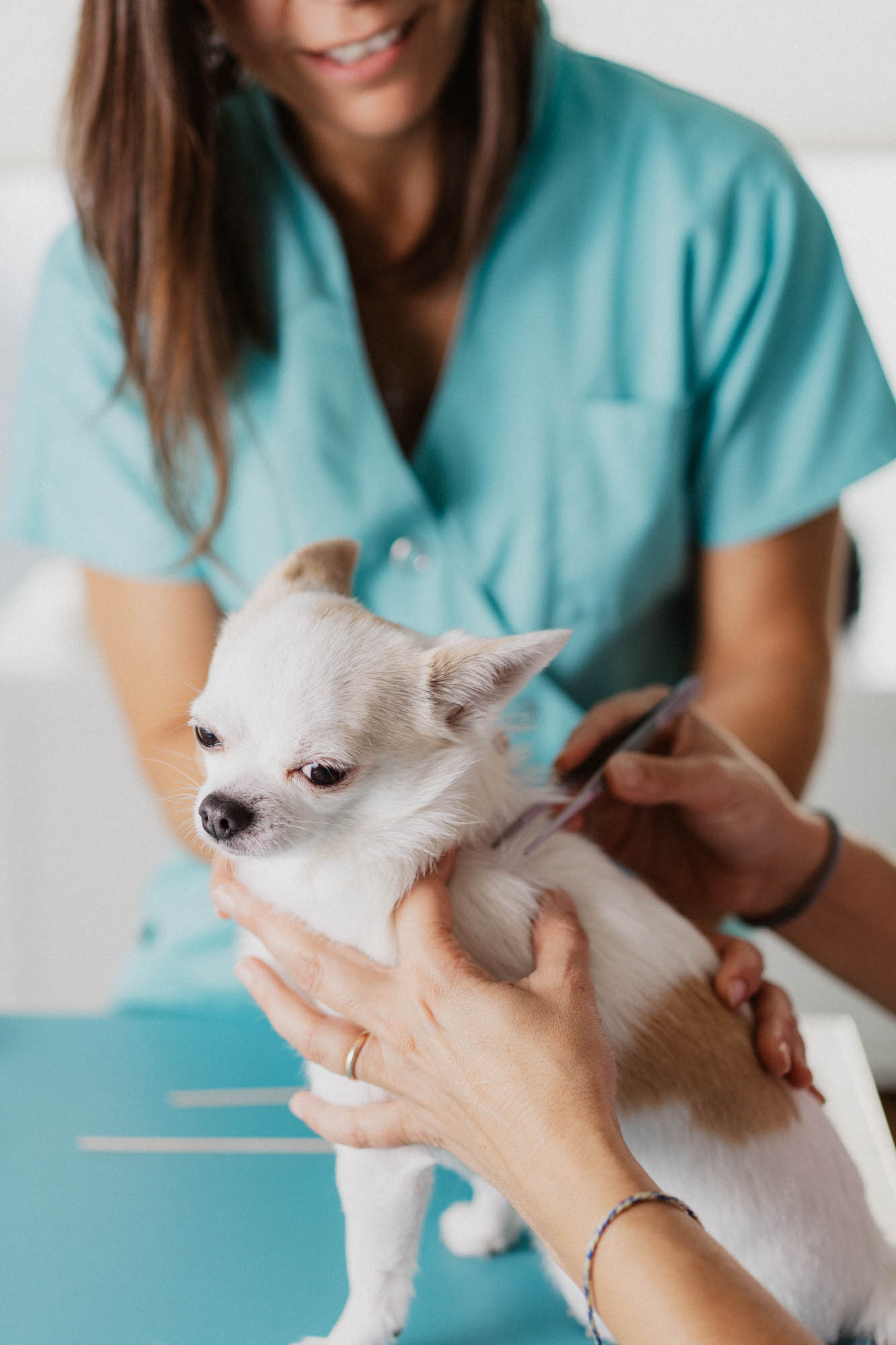 This image for Image Layouts addon