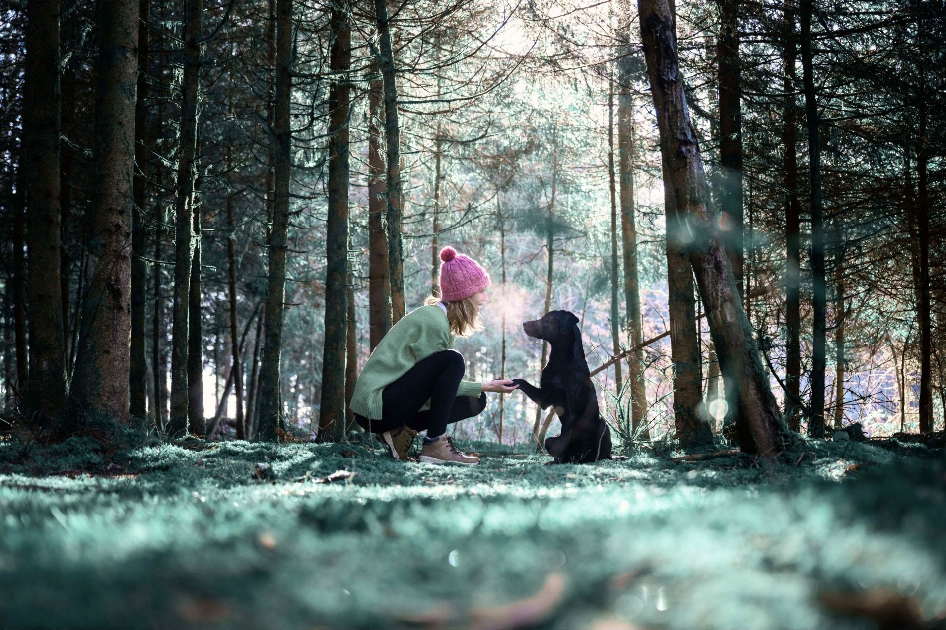 This image for Image Layouts addon