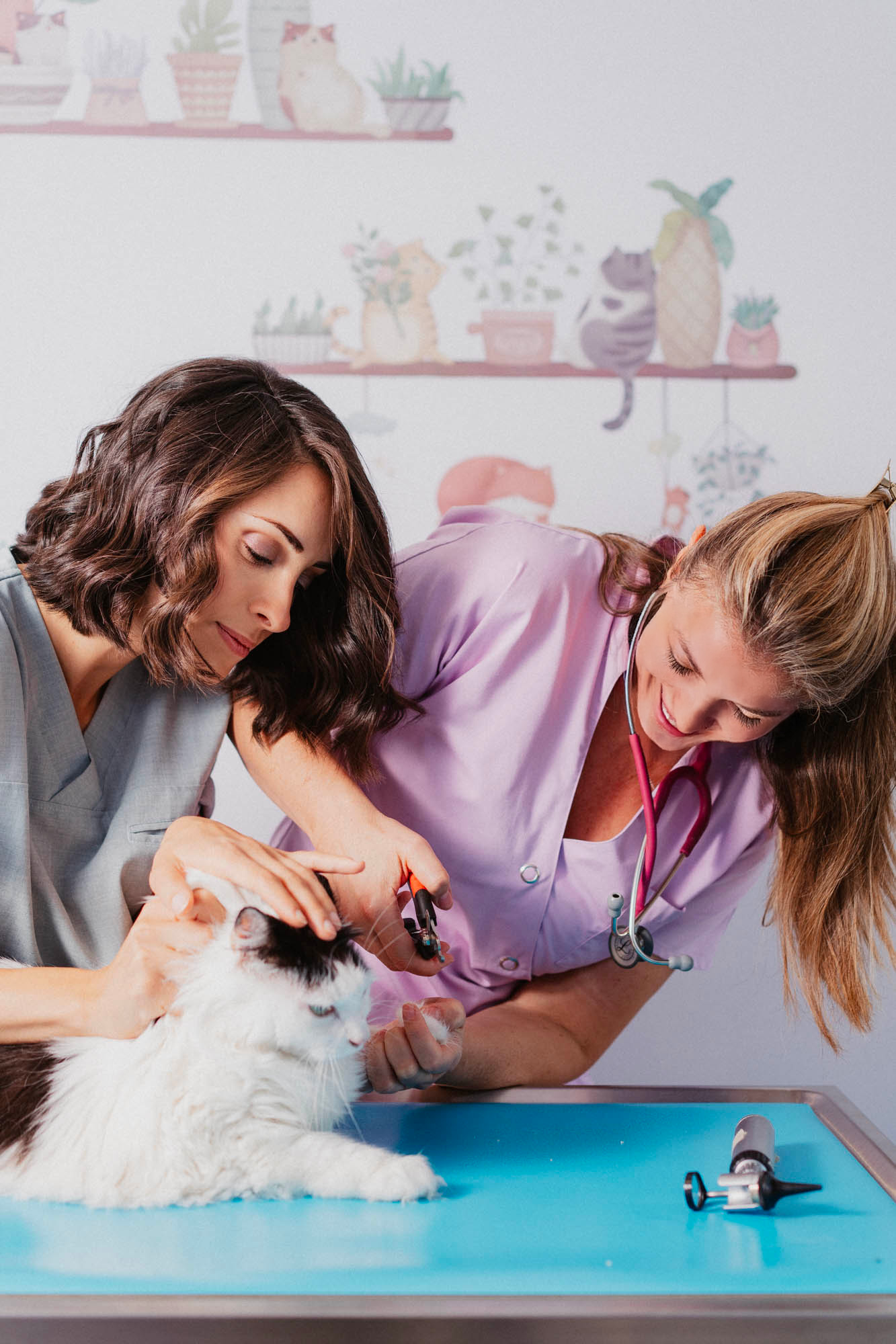 This image for Image Layouts addon