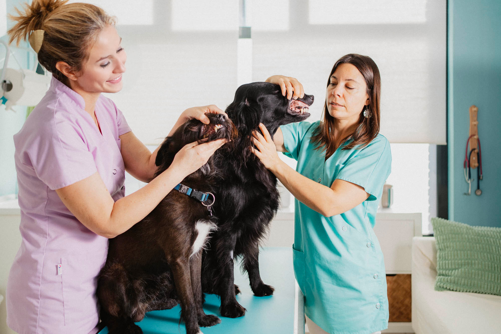 This image for Image Layouts addon